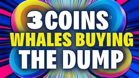 Crypto Whale Tactics: Top 3 Coins Bought on Dips - Altcoin Buzz