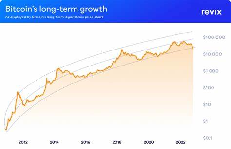 Making the case for long-term crypto investing - Moneyweb