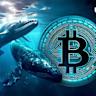  New whales trigger Bitcoin’s third profit-taking wave of current cycle 