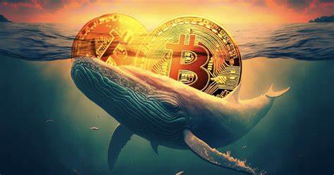 Decade old Bitcoin Whale transfers $600k to Kraken in a second move: Guest Post by Cryptopolitan_News - CoinMarketCap