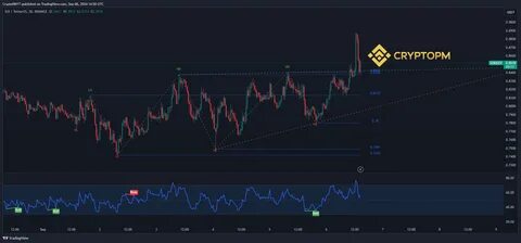 Crypto PM(@CryptoPM)'s insights - Binance