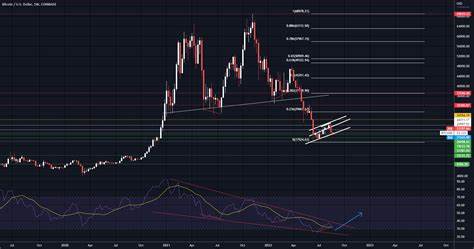 Coinbase Wrapped BTC Price: CBBTC Live Price Chart, Market Cap & News Today - CoinGecko Buzz