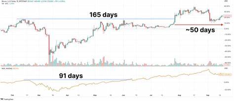 Bitcoin and Crypto Witnessing Mid-Cycle Top Reminiscent of 2021 Pullback, According to Investor Chris Burniske - The Daily Hodl