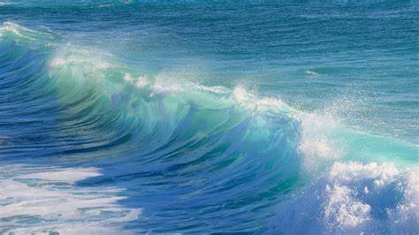 FOMO Traders Beware, Bitcoin's 'High-Wave' Price Action Points to Confusion: Godbole - CoinDesk