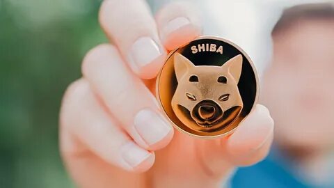 Top Coins of 2025 Which Best Coin Will Rise? Lightchain AI Leads the Pack Before Turbo, Polkadot, and Shiba Inu - TechBullion