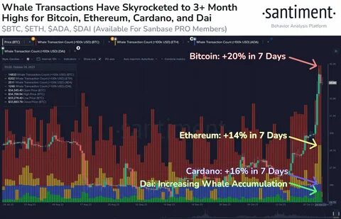 Whales Add 190,000 Ethereum In The Last 24 Hours – The Accumulation Continues - TradingView