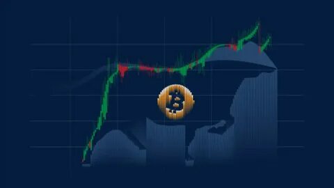 Reviving The Bitcoin Bull Market: Discover Why The Crypto Biz Is Thriving