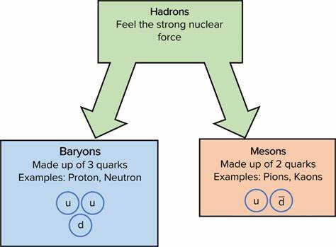 Matter vs. Force: Why There Are Two Types of Particles