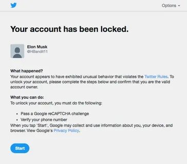 Twitter will lock your account if you change your display name to Elon Musk - The Verge