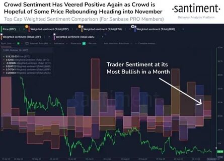 Cardano Faces Potential 20% Drop as Bearish Signals Loom Large - The Currency Analytics