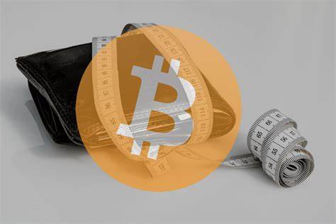 Best Bitcoin Wallets Online: 2018 Top Cryptocurrency Storage Types? - My Bitcoin