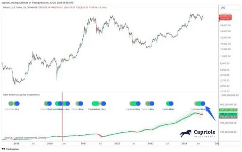 Bitcoin Price Prints Rare Buy Signal With 84% Win Rate, $80,000 Coming? - NewsBTC