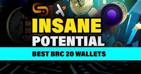 INSANE POTENTIAL BRC-20 Tokens Best Wallets - Altcoin Buzz