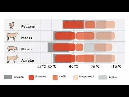 La scienza della cottura: perché 180 gradi è la temperatura ideale in 