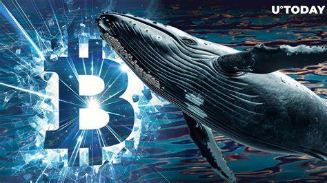 Ancient Bitcoin Whale Suddenly Returns With Millions and Massive Profit - U.Today