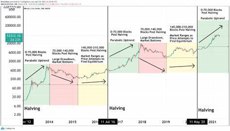 We Examine Top Altcoins Set For Parabolic Rallies Once Bitcoin Makes New All-Time Highs - Brave New Coin Insights