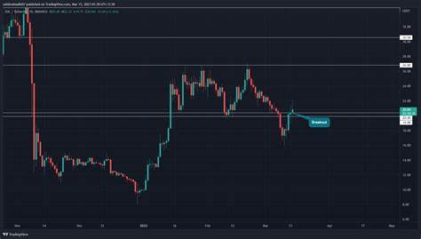 Altcoins Show Signs Of Recovery Amid Market Fluctuations - Evrim Ağacı