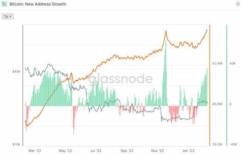 Bitcoin Adoption Surges: Addresses with Non-Zero Balances Top 50 Million in 20240