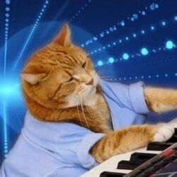 Keyboard Cat (Base) Price: KEYCAT Live Price Chart, Market Cap & News Today - CoinGecko Buzz