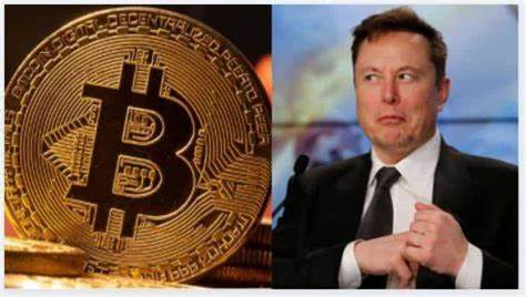 Cryptocurrency latest news today: Elon Musk vs Anonymous hacker group; Bitcoin, Dogecoin, Shiba Inu and oth... - Zee Business