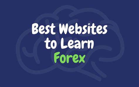 An educational website for forex traders