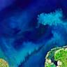 The ocean is changing colors, researchers say
