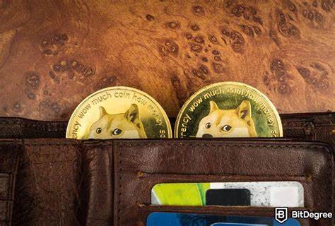 The Best Dogecoin (DOGE) Wallets for DOGE in 2025