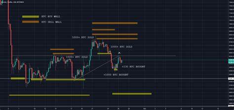 Bitcoin Buy Walls on Exchanges Now Robust Enough to Neutralize Selling Pressure: Analysis - The Crypto Basic