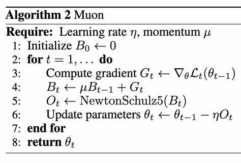Understanding Muon: A Revolutionary Neural Network Optimizer