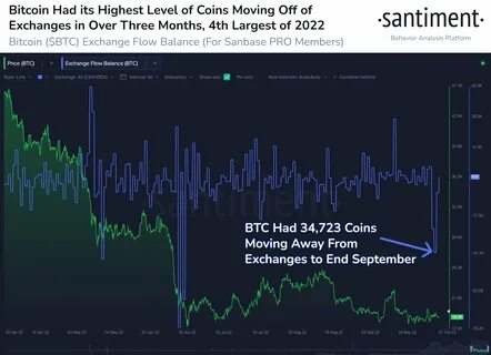 Santiment: Uptober is here, what coins are whales buying? - Cryptopolitan