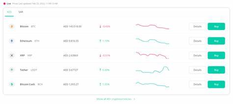 Why should UAE investors remain bullish on crypto market in 2025? - Khaleej Times