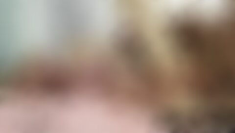 PornHub.com :: Gratis Hardcore Porno & Seksfoto's voor Jullie 