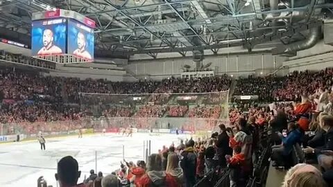 Ice hockey ref gets standing ovation after suffering every man's worst nightmare - Daily Star
