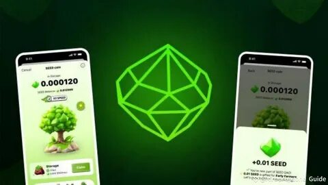 Today’s SEED YouTube Code [March 1, 2025] - CoinMarketCap