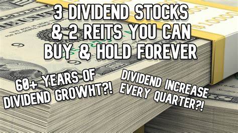 2 REITs To Buy And Hold For The Long Run