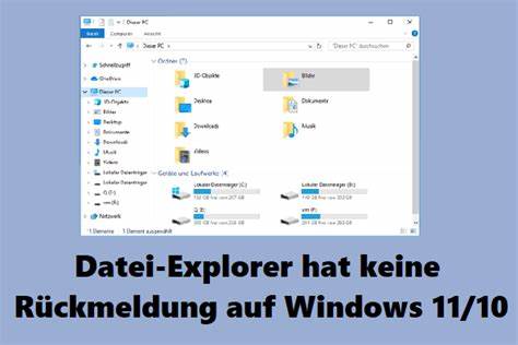 Windows 11 Explorer Keine Rückmeldung - Microsoft Community
