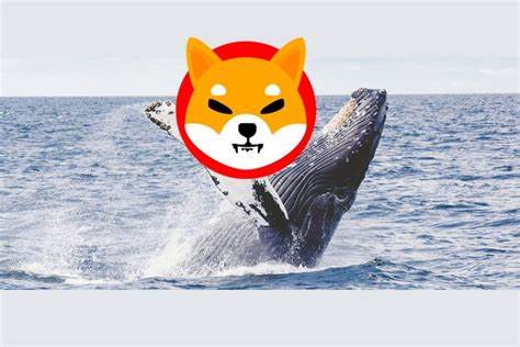 Shiba Inu Shock: Whale Transactions Slump by 4 Trillion SHIB – What’s Next?