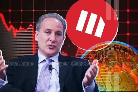 MicroStrategy (MSTR) Stock To Crash, Peter Schiff Says - CoinGape