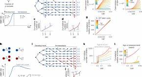 Detecting and quantifying clonal selection in somatic stem cells
