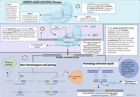Show HN: Detailed explanation and guide to understanding gene editing treatments