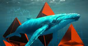 Lucrative ‘looping’ strategies now make up a third of DeFi activity, says oracle co-founder