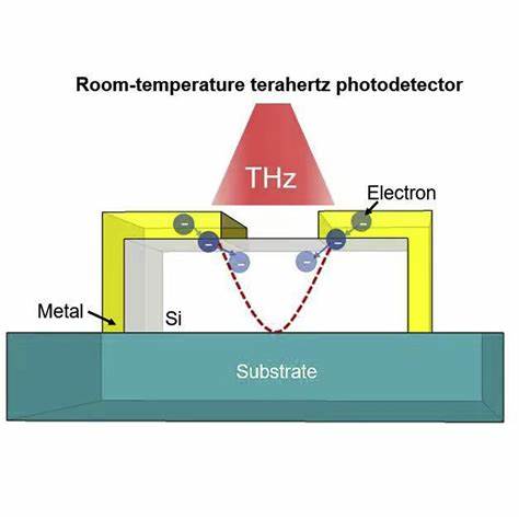 TaIrTe₄ photodetectors show promise for sensitive room-temperature THz sensing