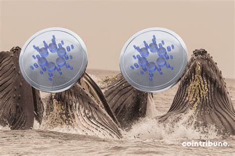 Cardano (ADA) Whales Accumulate $100M, Historical Pattern Points to $3 ADA in 2025 - CCN.com