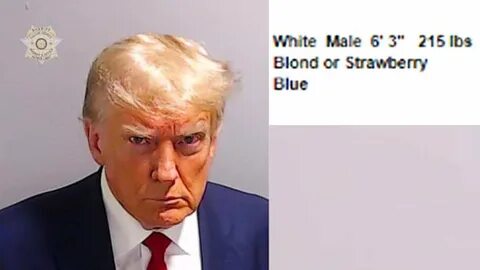 Donald Trump is the king of clickbait. Democrats, stop falling for his nonsense. | Letter - Yahoo