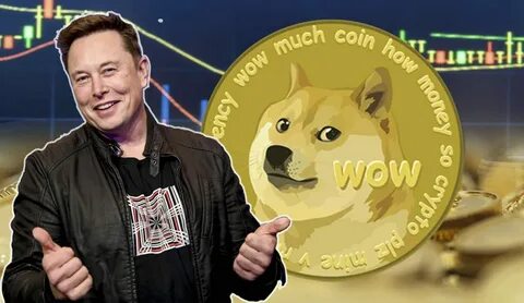 First Dogecoin Millionaire Gets Follow From Vlad Tenev - Watch His Reaction - TheStreet