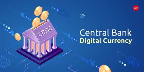 Central Bank Digital Currency (CBDC) & Blockchain: The Future of Payments - IBM