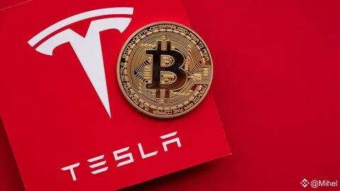 Tesla’s Bitcoin Movement Sparks Speculation in Crypto Community - Meltyfan
