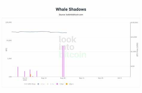 Rising Dormant Bitcoin Numbers Suggest Holding Is a Preferred Investment Strategy - CoinDesk