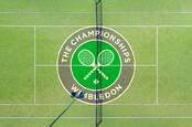 Game, set, botch: AI umpiring at Wimbledon goes long