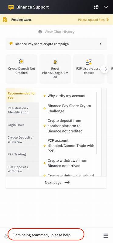 How to Report Scams on Binance Support? - Binance
